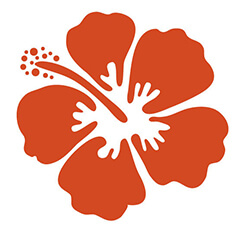 orange hibiscus graphic