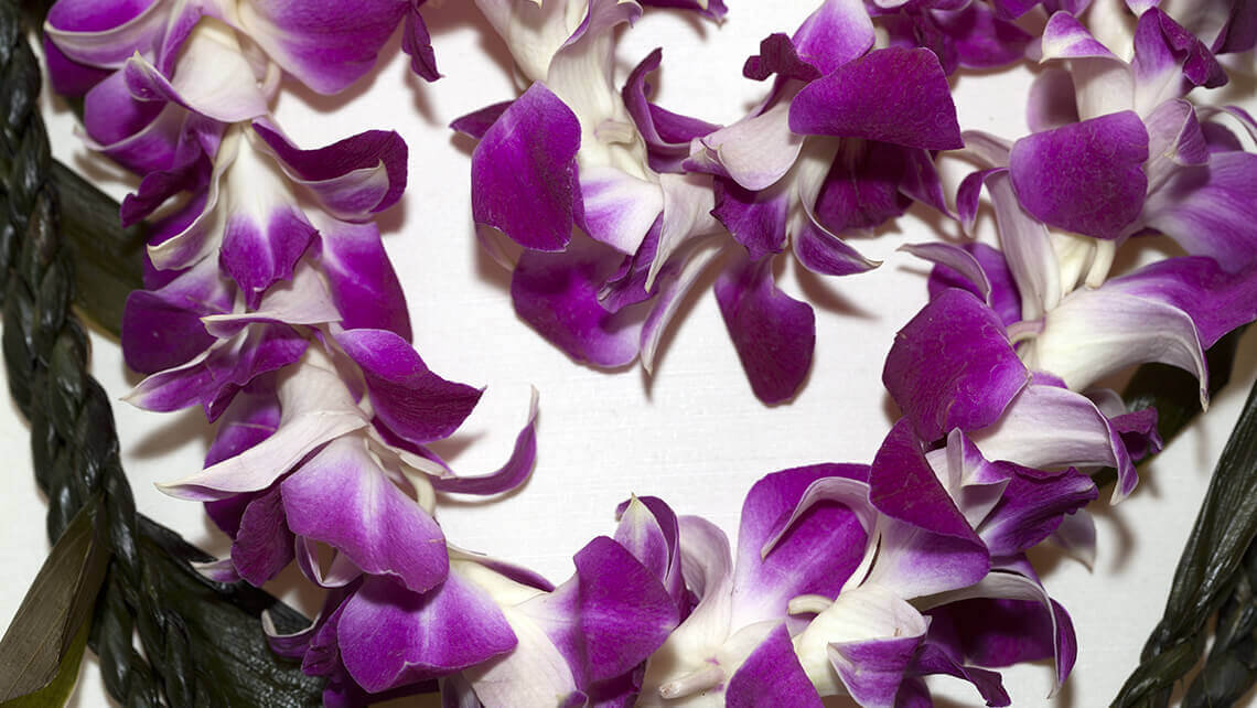 hawaiian lei plumeria