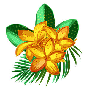 hawaiian flower graphic from hawaii hula company