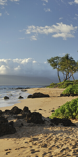 maui beach