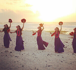 hawaiian hula dancers posing as a group