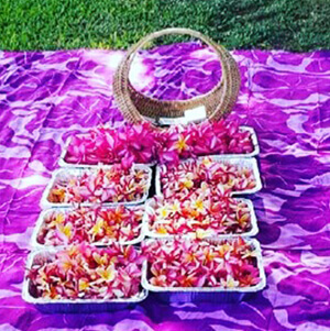 material for lei making plumeria flowers