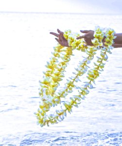 white and yellow flower leis